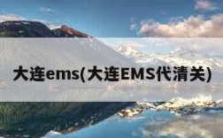 大连ems(大连EMS代清关)