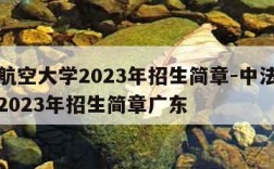 中法航空大学2023年招生简章-中法航空大学2023年招生简章广东
