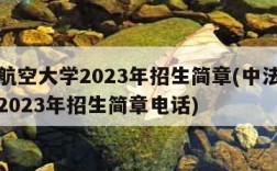 中法航空大学2023年招生简章(中法航空大学2023年招生简章电话)