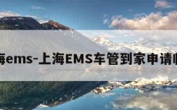 上海ems-上海EMS车管到家申请临牌